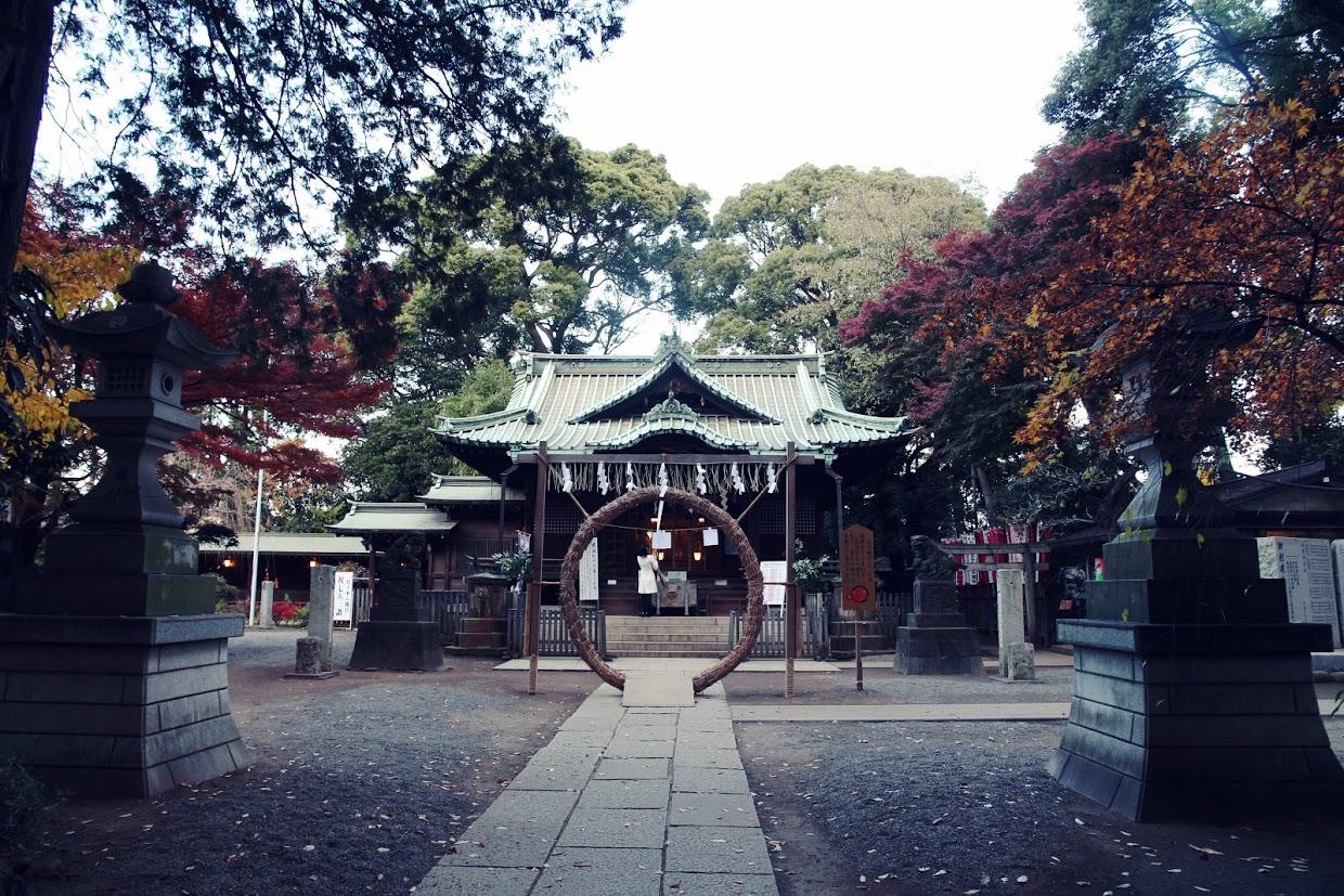 京都银杏图虫旅行,手绘研学旅游日记