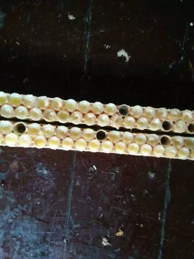 蜂王浆在护肤品里的功效与作用,蜂王浆护肤品对皮肤的作用与功效