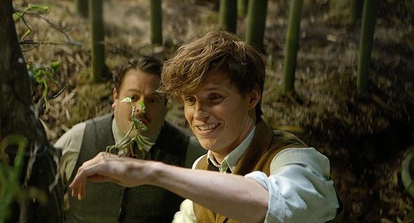 《神奇动物2》德普继续扮演格林德沃，邓布利多都想莱昂纳多演？