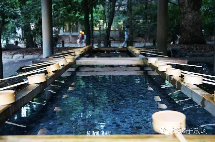 这个冬天我们一起去日本看雪,去日本看雪景哪个地方好