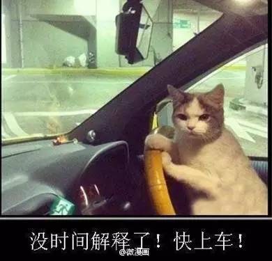 自由女神是众筹的吗,什么是自由女神