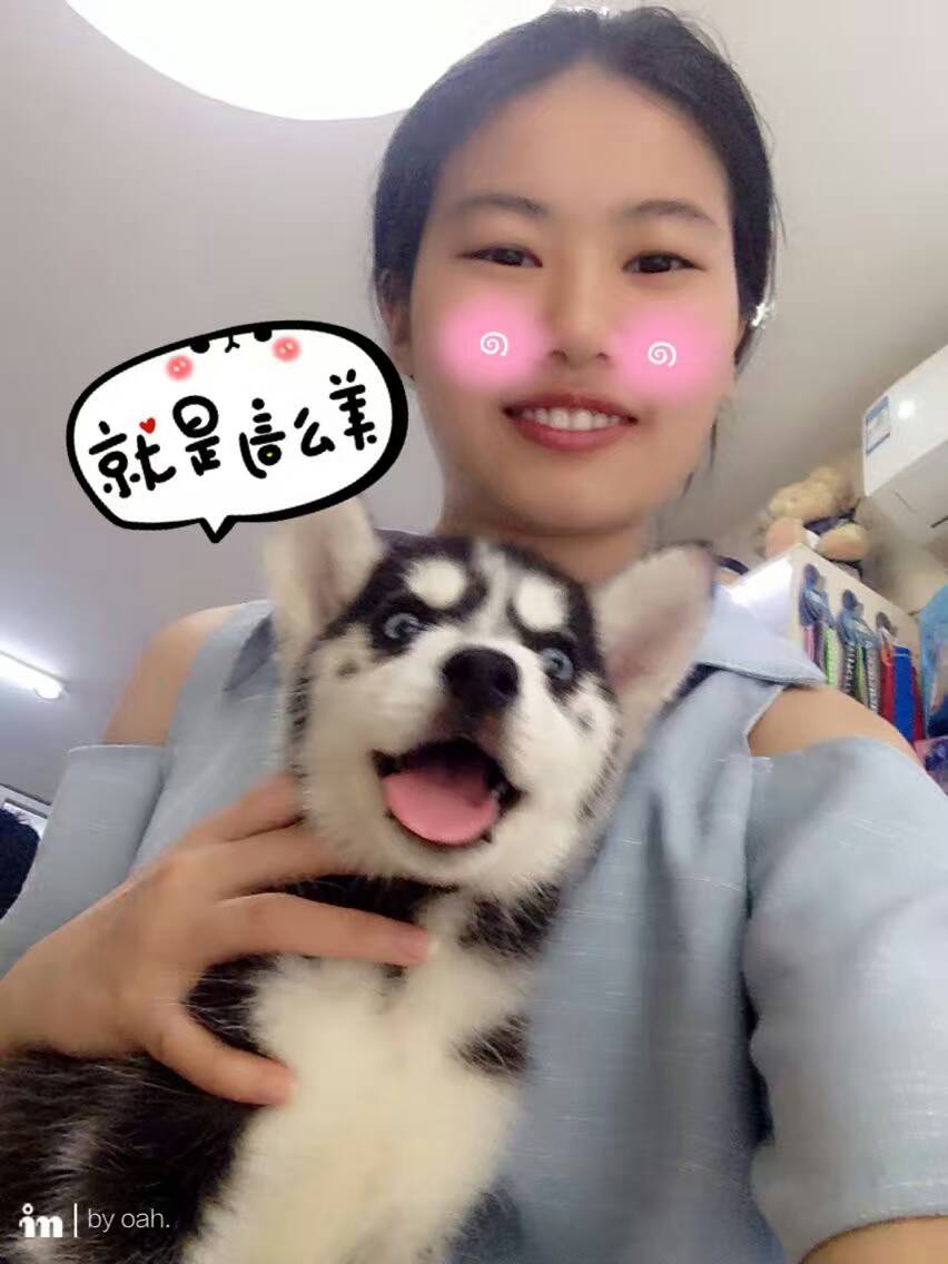 终于知道为什么不喜欢养狗了,为什么很喜欢狗狗又不敢养