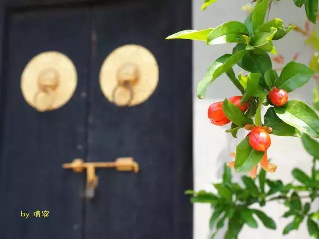 威海荣成海上时光,威海悠闲旅游