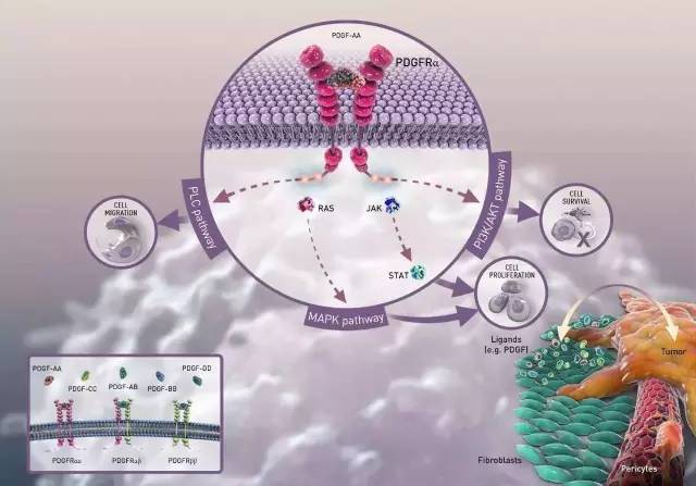 肉瘤极度恶性，40年终于出重磅新药了！