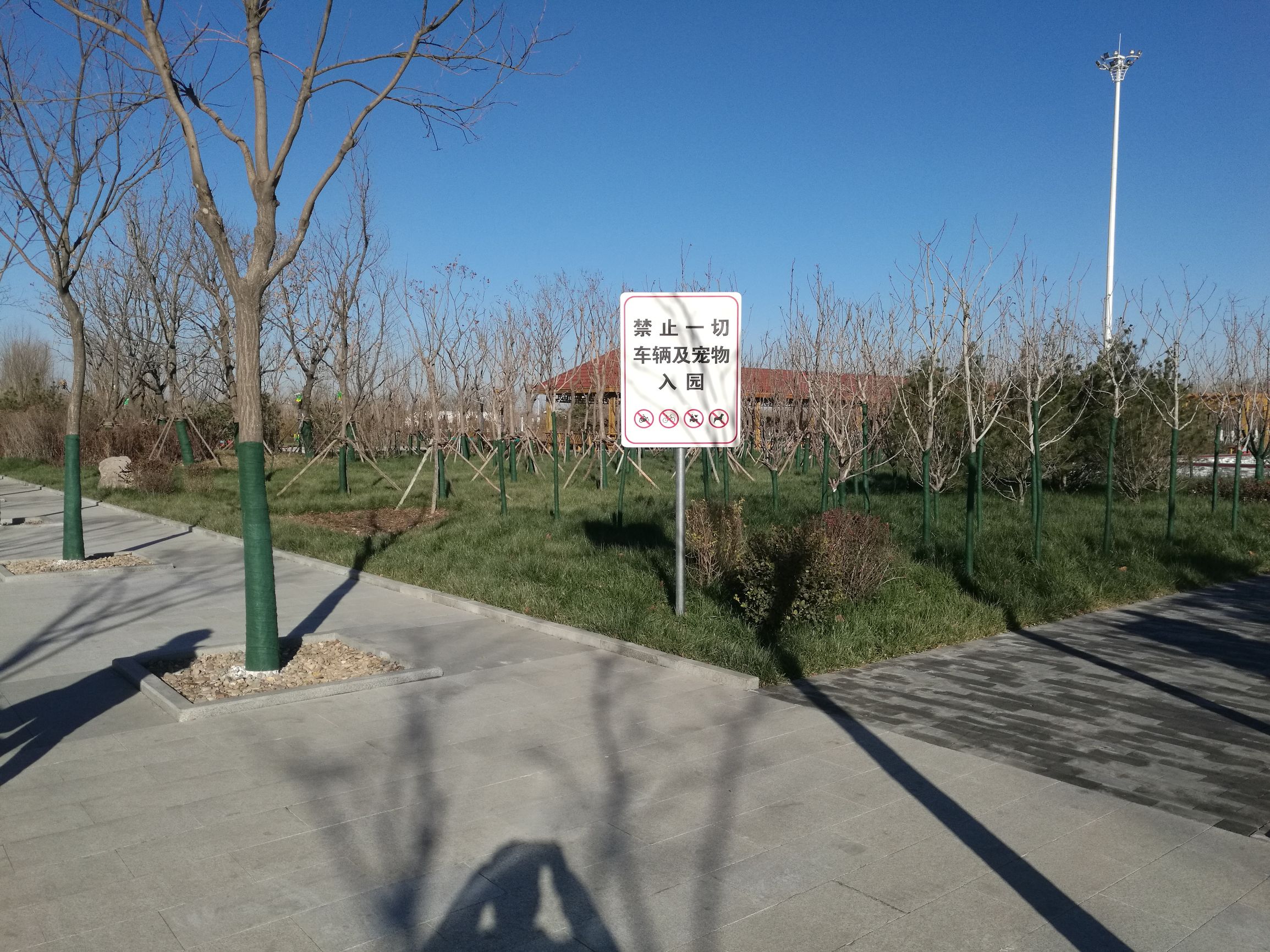 天津一共有几个专业足球场,天津业余足球联赛