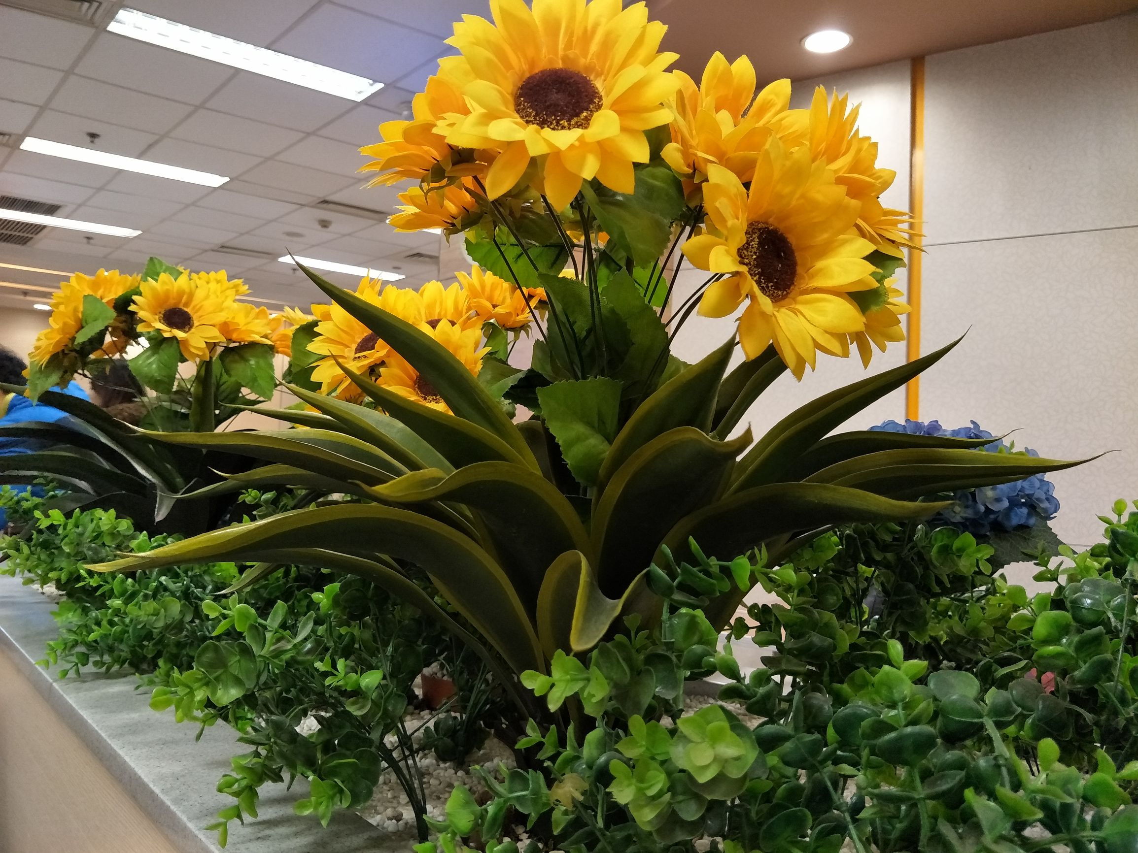 opporeno6pro+值不值得入手,oppofindn值不值得买