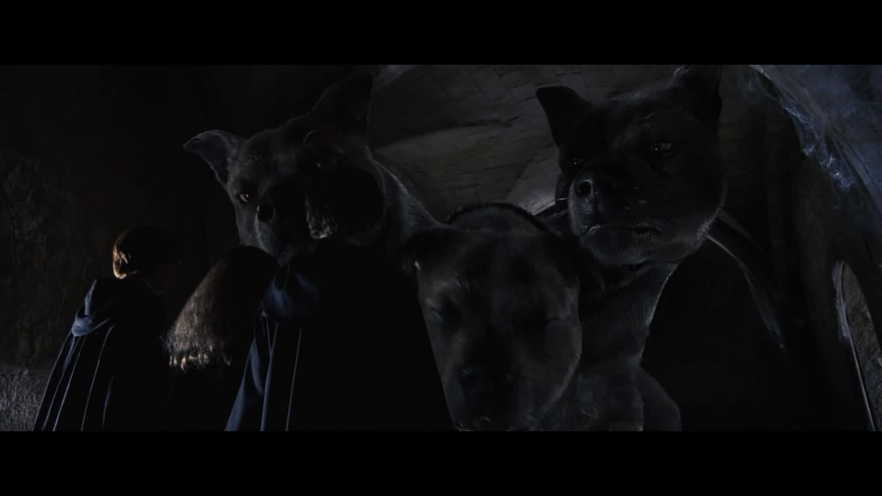 你还记得那颗干鼻屎味道的多味豆吗