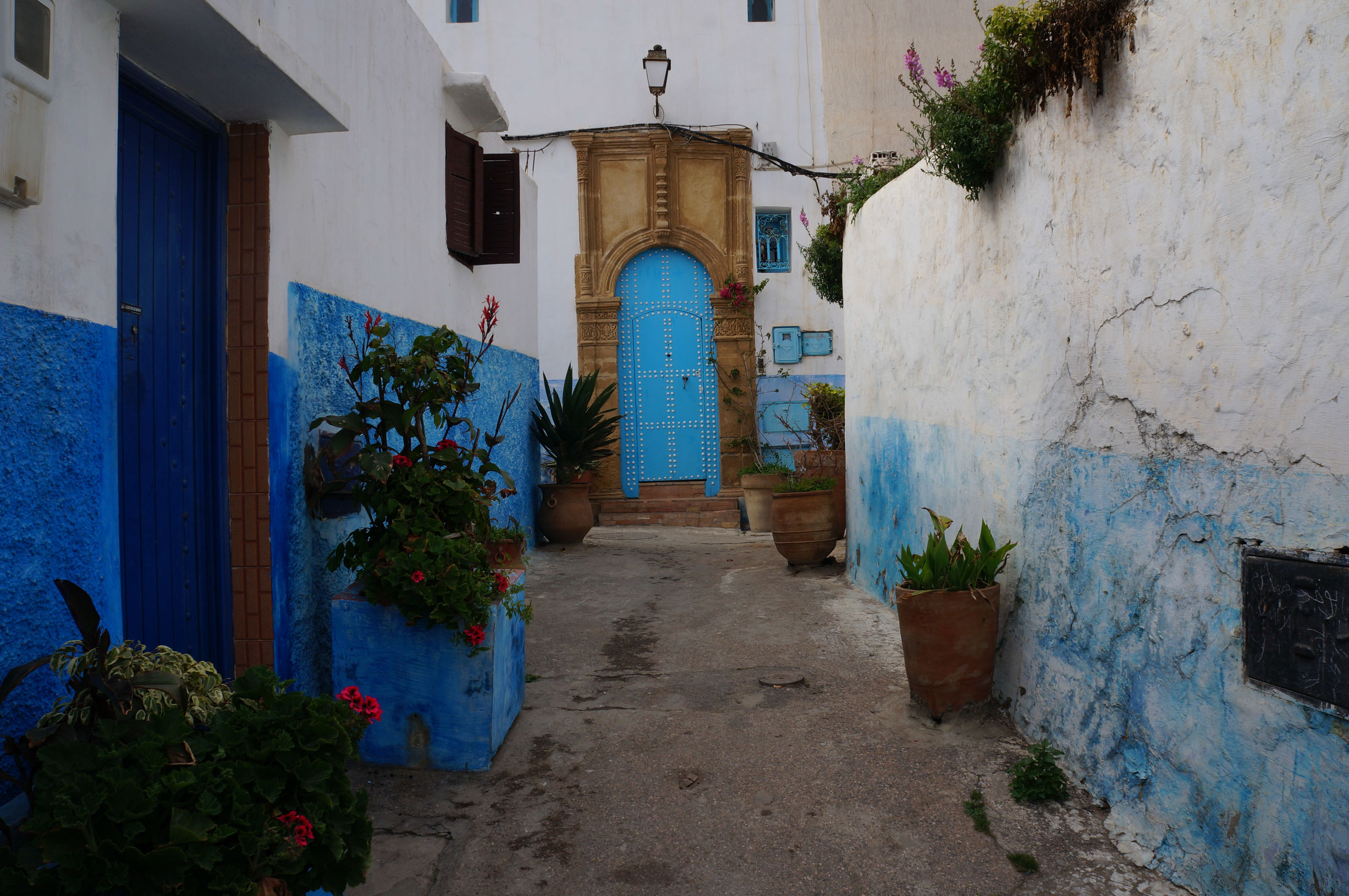 送你一份眼花缭乱的摩洛哥皇都拼盘