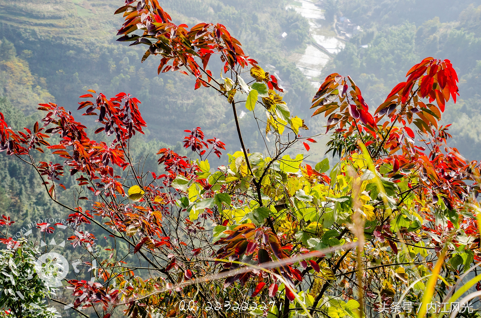 攀越震撼的内江威远高顶寨