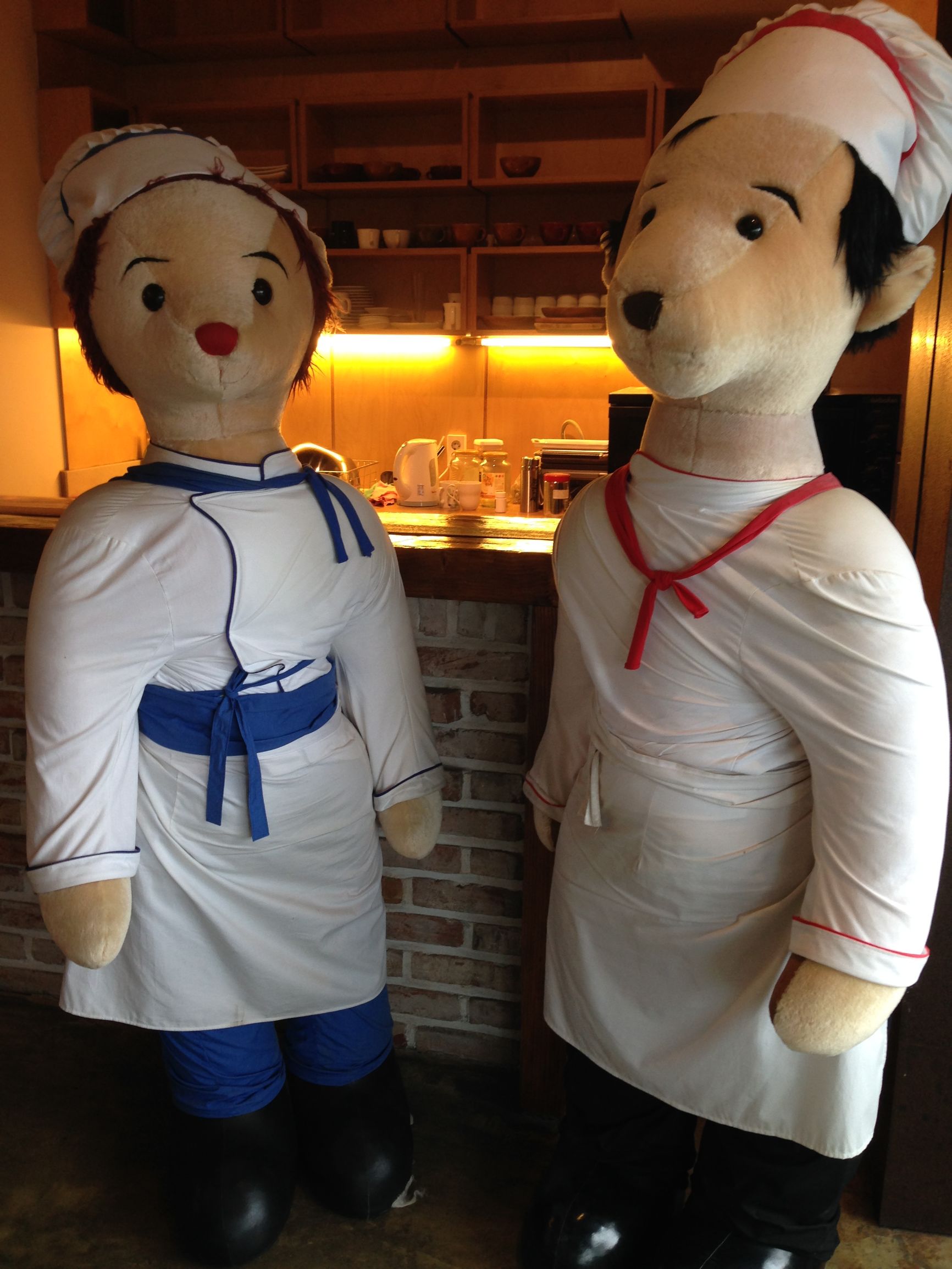 济州岛泰迪熊韩服,济州岛泰迪熊动物世界