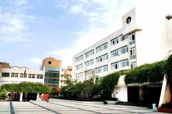 成都四七九有多厉害,成都四七九高中