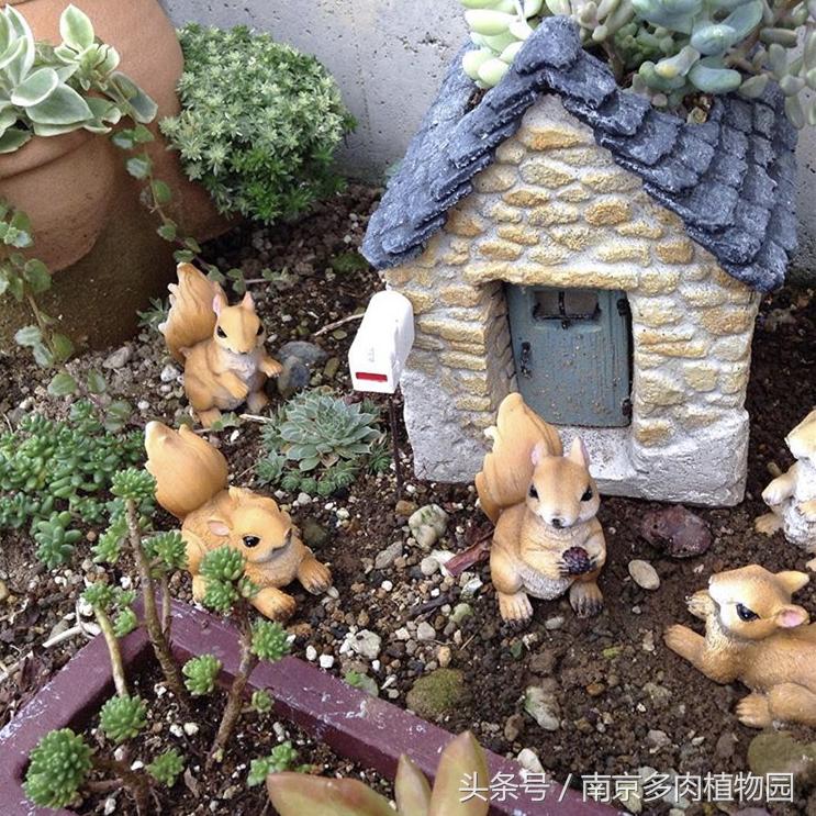 乐高积木成人款植物多肉,小玩具乐高