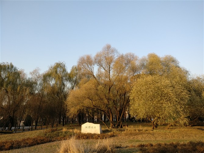 一加手机3t评测,一加手机3t有哪些变化了