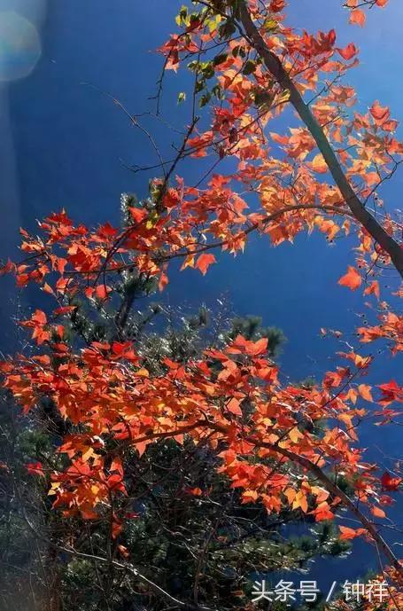 钟祥还能不能去,对不起我要离开了文章