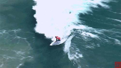 萌萌哒海狮空降海口，竟然还有这样的水上活动！