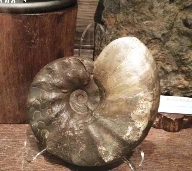 茶器品鉴,高质量茶器欢迎品鉴