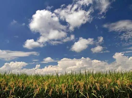 如果觉得国庆7天短,接下来你会知道7天有多长