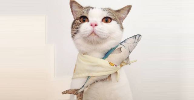 关于最新全世界股指排行榜,全球股指投资哪个好