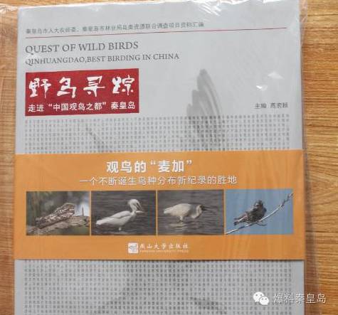 秦皇岛观鸟最有名的鸟,秦皇岛有哪些鸟