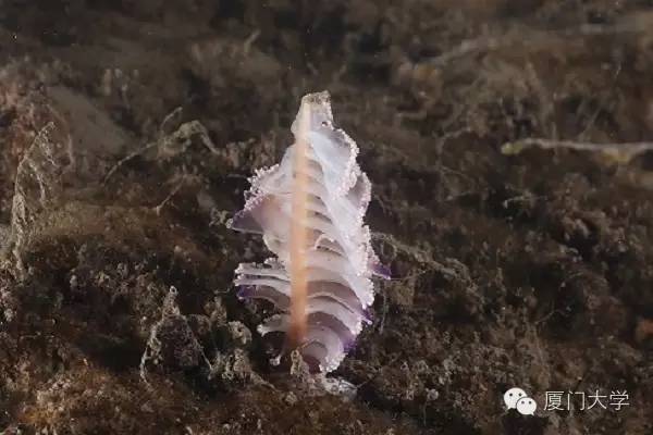 特色课程游泳课内容,隐藏的体育课