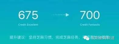 支付宝新功能生活圈评价,支付宝社交功能永久限制