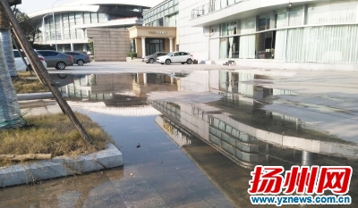 明月湖玉玲珑餐厅附近污水漫溢健身漫步道被淹