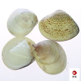 明明很好用却没有推广的化妆品,那些年曾经用过的化妆品