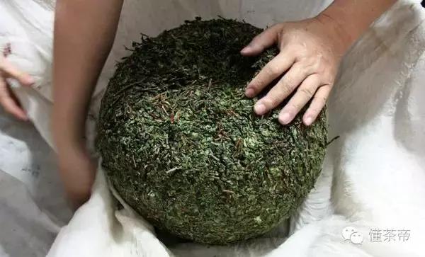 卷茶和条形茶的区别,茶的种类不同是因为品种不一样吗