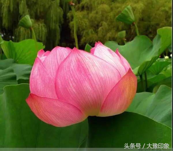 小说推荐韩思语,徐晟韩思语小说结局