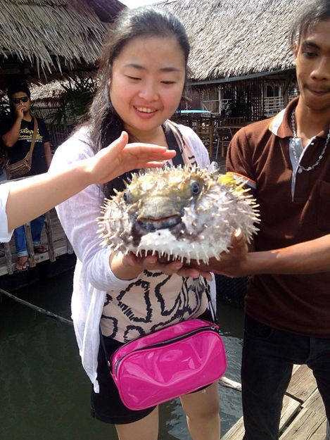 泰国天堂沙滩旅游,泰国天堂之城视频
