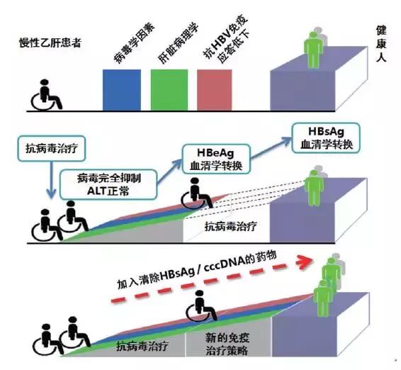 慢性乙型肝炎的治疗进展文献综述,慢性乙型肝炎该怎么治疗