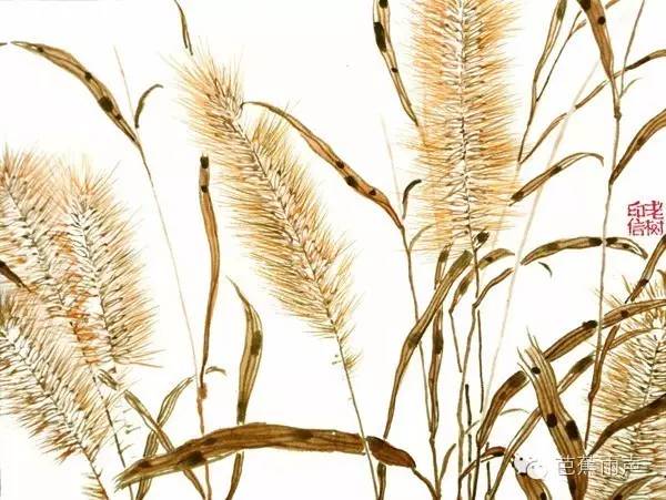 恰同学少年原版,恰同学少年全集