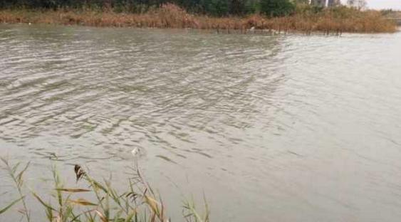 钓鱼人太牛！大风大雨中垂钓也能迎来鲤鲫大丰收