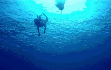 全智贤和李敏镐关系怎么样,全智贤和李敏镐不和吗