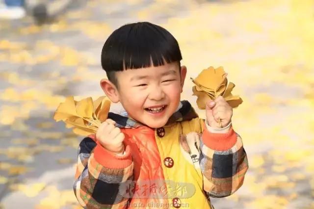 成都最萌的“银杏宝宝”在哪里？快来拿金色大礼！