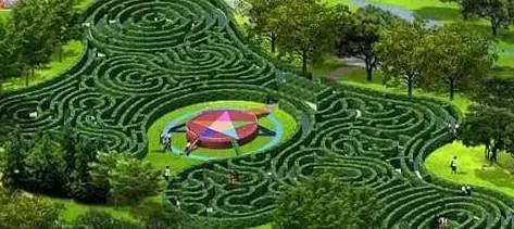 杭州这四类群体好消息速看,杭州人都要知道的好消息