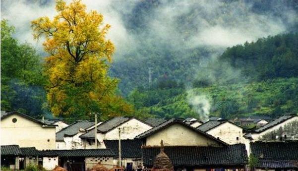 藏在深山无人识,石台县原始森林