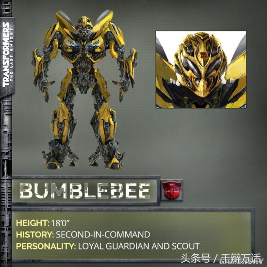 变形金刚7:超能勇士崛起,变形金刚5最后的骑士女主