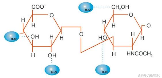 你了解玻尿酸的真实作用吗？知道这些你才不会再花冤枉钱！