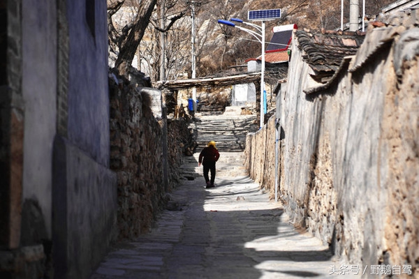 碣石村旅游攻略,野鹅自驾西藏视频