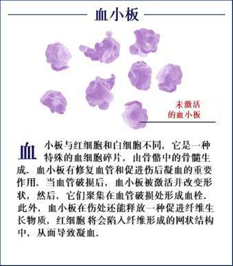 Word天，这个女人的血小板只有1.0X10^9！