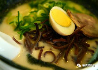 樱花旅行记全集视频,日本樱花7日游攻略大全