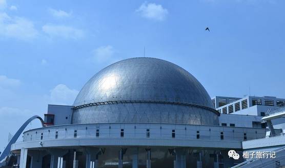 樱花旅行记全集视频,日本樱花7日游攻略大全