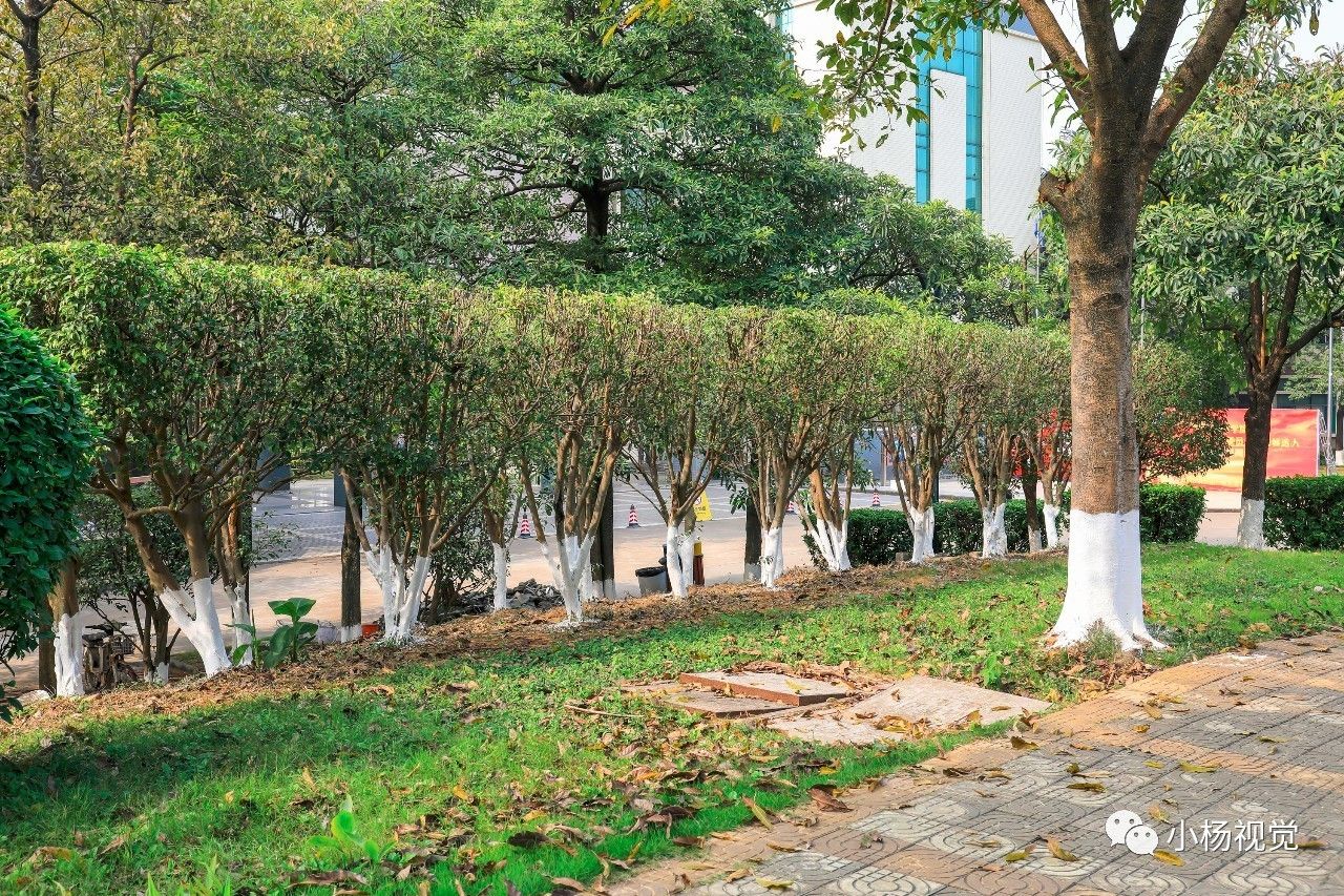 新旧老照片对比人物,新旧照片对比视频