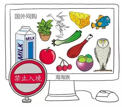 即食燕窝可以入境日本吗,燕窝不能带回国吗