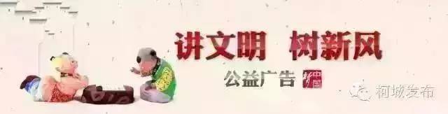 牛！柯城一季度网络零售额达7亿元，同比增长51%