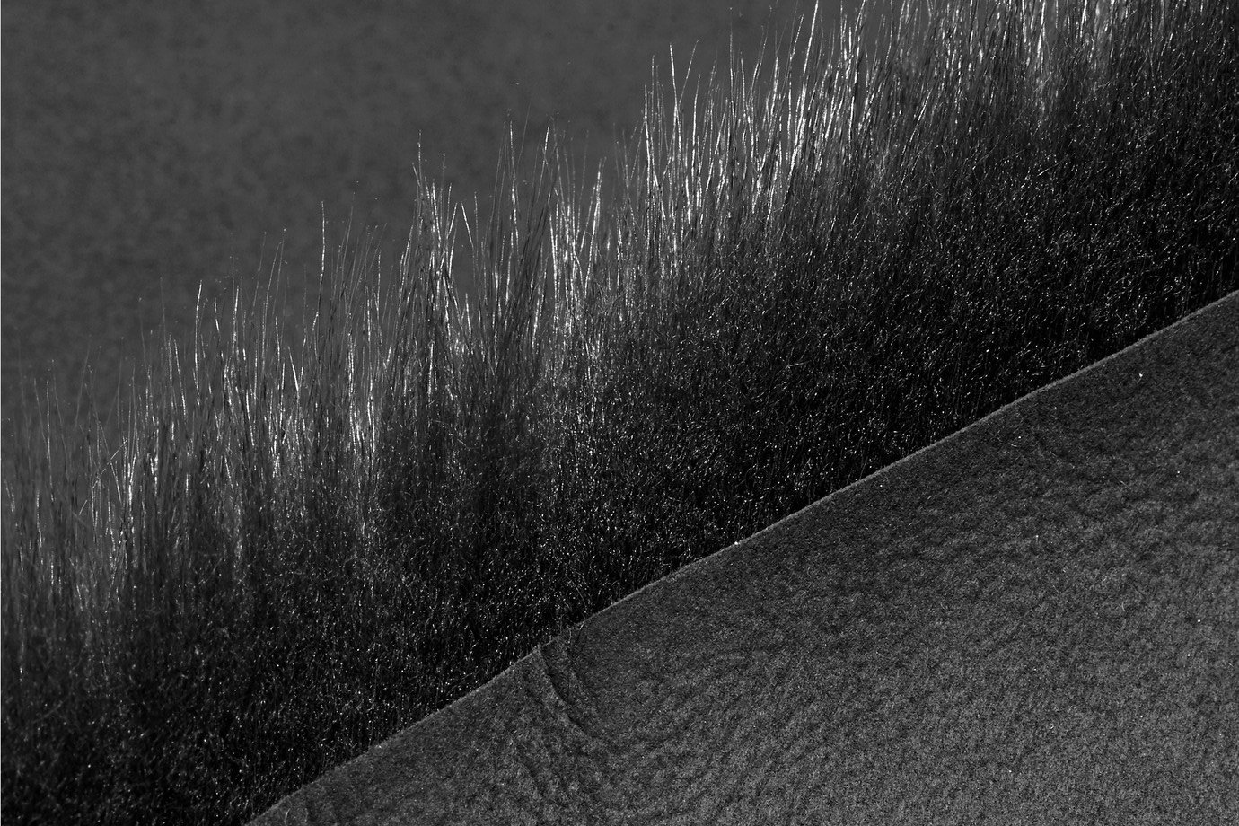 皮草好洋气精致,皮草好臃肿