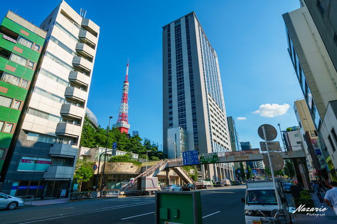粉红猪小妹与小猪佩奇,粉红猪小妹的快乐生活
