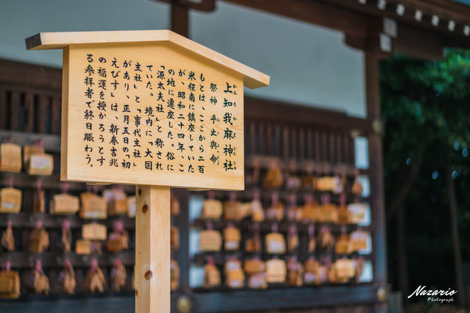 粉红猪小妹与小猪佩奇,粉红猪小妹的快乐生活