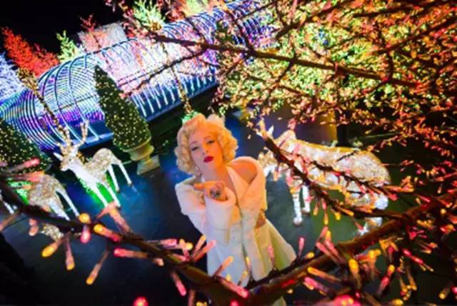 新加坡过圣诞节感受 (新加坡的春节怎么过)